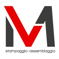M.V. S.r.l. logo - Similar company to B&C