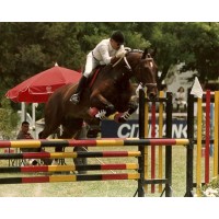 Horses & Horses Inc - Daniel Aristimuno   Founder/CEO logo - Similar company to Founder Catalyst