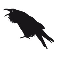 Two Ravens logo - Similar company to Two Ravens Solutions