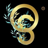 Olive Seed Media logo - Similar company to Wedding Flair