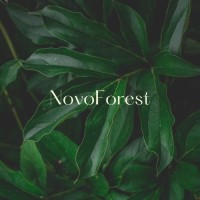 NovoForest logo - Similar company to Coffeesai