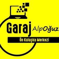 Garaj Alp Oğuz logo - Similar company to Teamcastrum