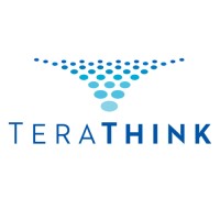 TeraThink Corporation logo - Similar company to Cerulean, Llc