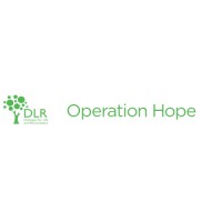 Dialogue for Life & Reconciliation-DLR logo - Similar company to Bablex