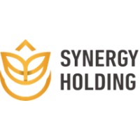 Synergy Holding Group logo - Similar company to Synergy & Co.