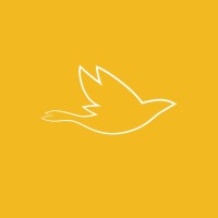 @disenoparavolar logo - Similar company to Catro Ventos
