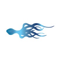 Continuum Movement logo - Similar company to Sensitive Approach: Client At The Core