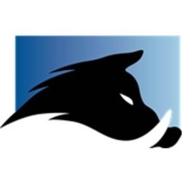 BLITZ Projetos Especiais logo - Similar company to Sticle Têxtil Ltda