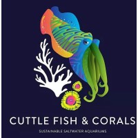 Cuttle Fish And Corals Llc