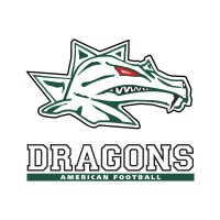 Danube Dragons logo - Similar company to Vinpilot