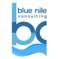 Blue Nile Consulting logo - Similar company to T2D3