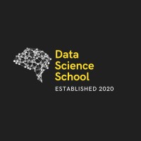 Data Science School logo - Similar company to Data Science School