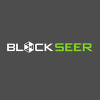 Blockseer logo - Similar company to Dmg Blockchain Solutions