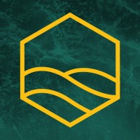 CoWaves logo - Similar company to Datahyve