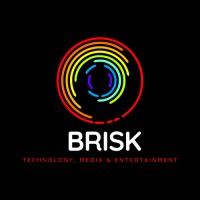 Brisk Media logo - Similar company to Bronzone Consulting