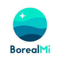 BorealMi - Agencia Digital logo - Similar company to Justeasy Digital Agency