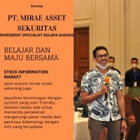 RISYANA INVESMENT SPECIALIST logo - Similar company to Titanium Strategic Invesment