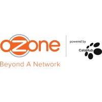 Ozone Wireless Inc. logo - Similar company to Azzilon
