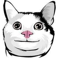 Beluga logo - Similar company to Ai Core