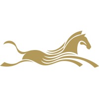 Shenzhen Talent Recruitment International logo - Similar company to Rippling Ideas