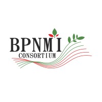 BPNMI Consortium logo - Similar company to Macao Digital Library Association (Mdla)
