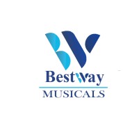 Bestway Musical Enterprise logo - Similar company to Optikkal Tech