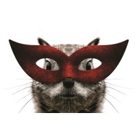 Secret Squirrel logo - Similar company to Centre For Tax And Investment Laws