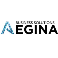 Aegina Business Solutions logo - Similar company to Datamtx Llc