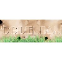 Ogdenian Web Design Services