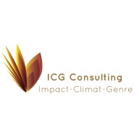 I.C.G Consulting logo - Similar company to Nu Africa Risk Services