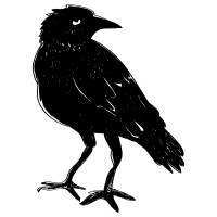 Maverick Crow logo - Similar company to Desert Shield Technology Partners