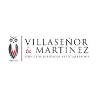 VILLASEÑOR Y MARTINEZ, S.C. logo - Similar company to Bbm Abogados Santander.Cantabria. Bufete De Abogados En Santander. Fundado Por Beatriz Bermejo Villa