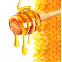 Pure Honey Distribution logo - Similar company to Imroj International Trading