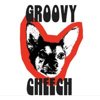 Groovy Cheech™ logo - Similar company to Le Solar