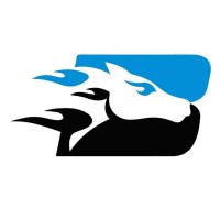 BlazingBronco logo - Similar company to Serene Solutions