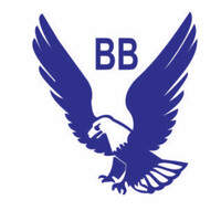 BLUE BIRD GROUP logo - Similar company to Bluebird Logistics Ltd