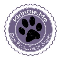Kiringie.Me