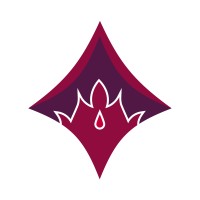 Stellar Forge Studios logo - Similar company to My Creative Community