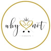 Why Not Vidéaste logo - Similar company to Why Not Studio