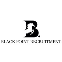 Black Point Recruitment logo - Similar company to Simplyhr