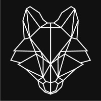 FLOWOLF logo - Similar company to Claners.Com