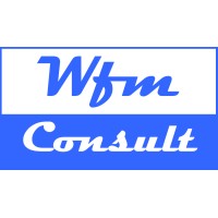WFM CONSULT logo - Similar company to Exelsa