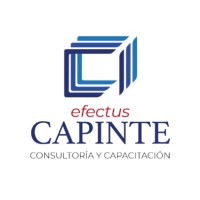 EFECTUS Training and Consulting (Mexico) logo - Similar company to Link Consultora - Servicios Outsourcing Para Empresas Y Emprendedores