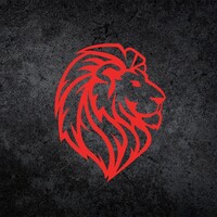 Lion & Lion logo - Similar company to C27