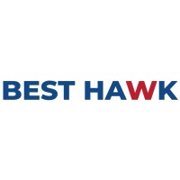 Best Hawk Infosystems Pvt. Ltd. logo - Similar company to Kristech Solutions Llp