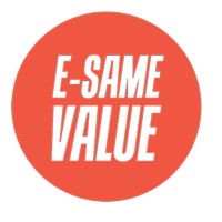 E-SaMe Value logo - Similar company to Value Builder Outsourcing