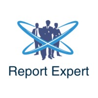 Report Expert logo - Similar company to Evnext