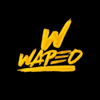 WAPEO logo - Similar company to Mojo