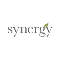 Synergy Enterprises logo - Similar company to Awesense