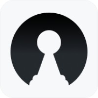 Pionpos logo - Similar company to Pinebit